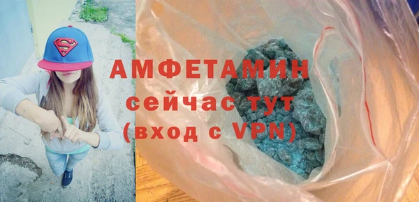 прущие грибы Балахна
