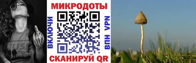 купить закладку Николаевск Галлюциногенные грибы мицелий